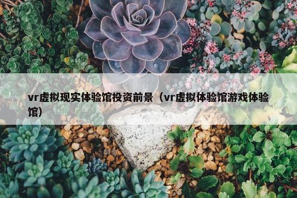 vr虚拟现实体验馆投资前景（vr虚拟体验馆游戏体验馆）