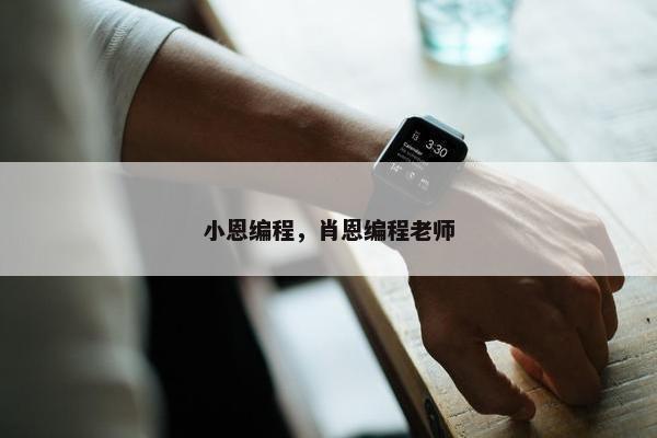 小恩编程，肖恩编程老师
