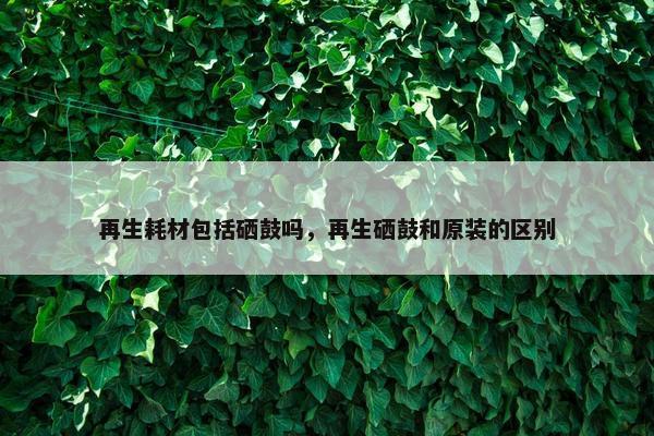 再生耗材包括硒鼓吗，再生硒鼓和原装的区别