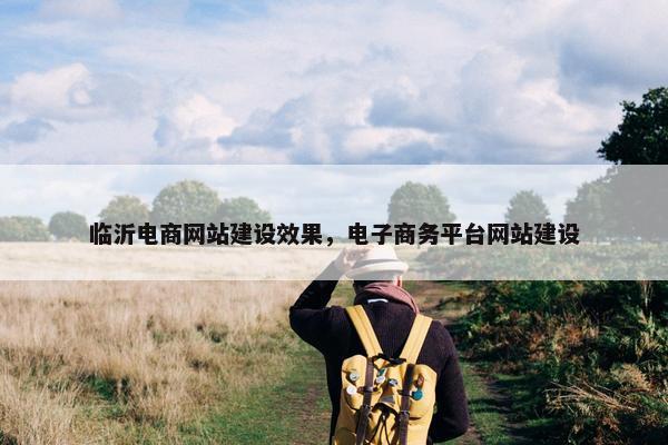 临沂电商网站建设效果，电子商务平台网站建设