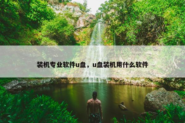 装机专业软件u盘，u盘装机用什么软件