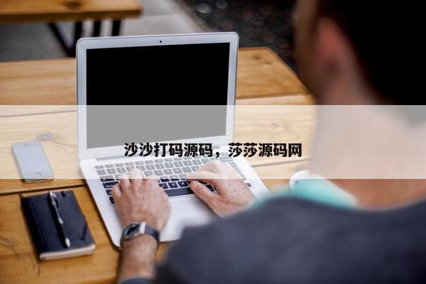 沙沙打码源码，莎莎源码网