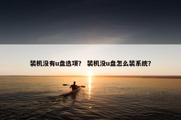 装机没有u盘选项？ 装机没u盘怎么装系统？