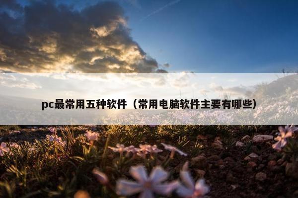 pc最常用五种软件（常用电脑软件主要有哪些）