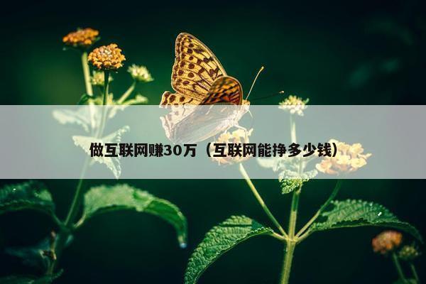 做互联网赚30万(互联网能挣多少钱) 做互联网赚30万(互联网能挣多少钱)