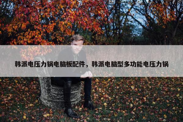 韩派电压力锅电脑板配件，韩派电脑型多功能电压力锅