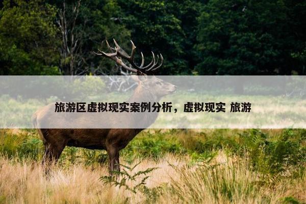 旅游区虚拟现实案例分析，虚拟现实 旅游