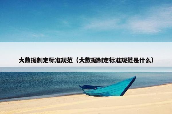 大数据制定标准规范（大数据制定标准规范是什么）