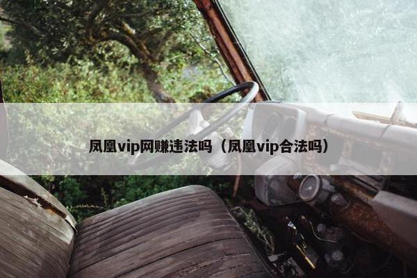凤凰vip网赚违法吗（凤凰vip合法吗）