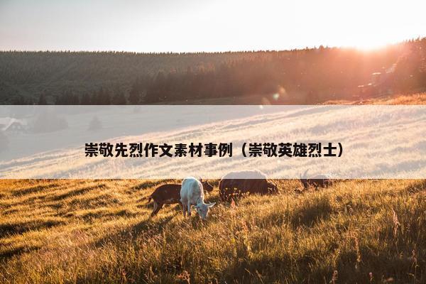 崇敬先烈作文素材事例（崇敬英雄烈士）