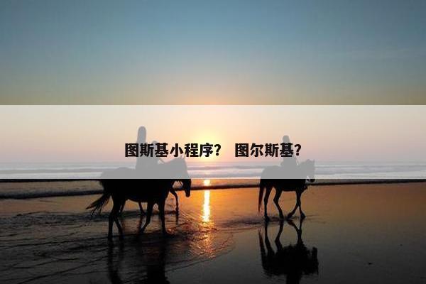 图斯基小程序? 图尔斯基? 图斯基小程序? 图尔斯基?