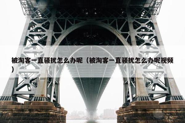 被淘客一直骚扰怎么办呢（被淘客一直骚扰怎么办呢视频）