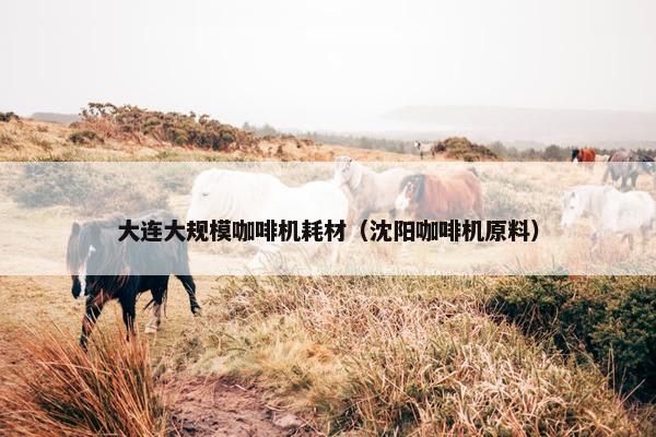 大连大规模咖啡机耗材（沈阳咖啡机原料）