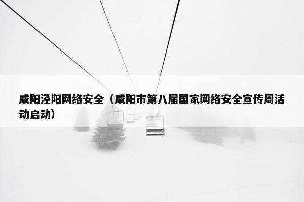 咸阳泾阳网络安全（咸阳市第八届国家网络安全宣传周活动启动）