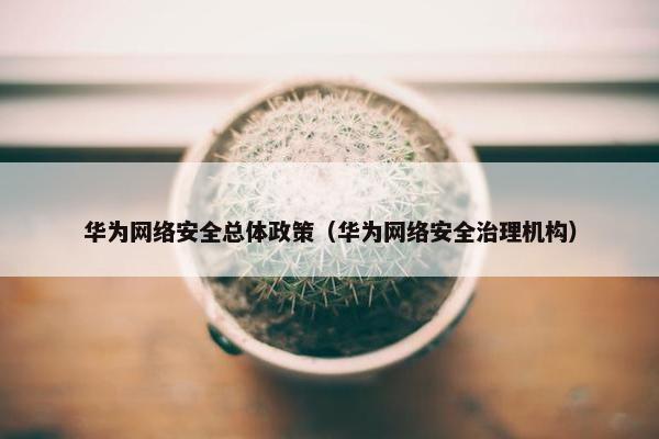 华为网络安全总体政策（华为网络安全治理机构）