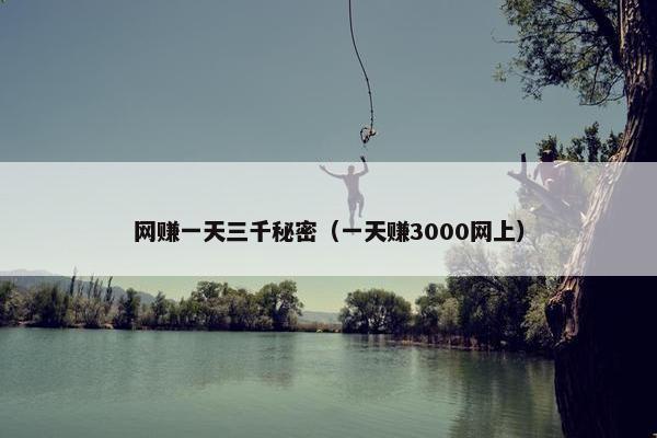 网赚一天三千秘密（一天赚3000网上）