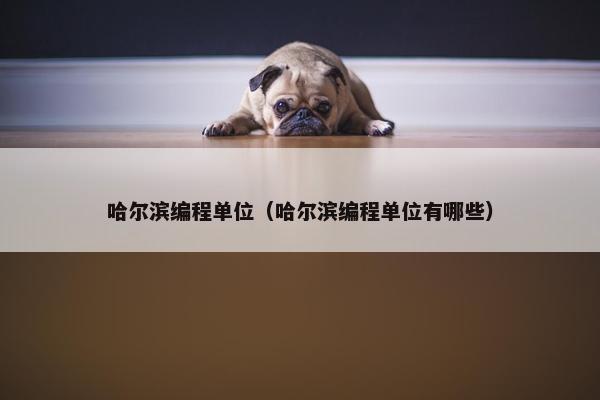 哈尔滨编程单位（哈尔滨编程单位有哪些）