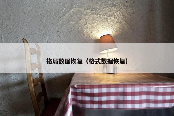 格局数据恢复（格式数据恢复）