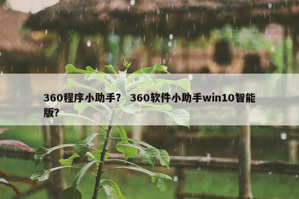 360程序小助手？ 360软件小助手win10智能版？