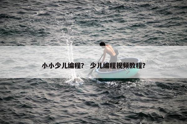 小小少儿编程？ 少儿编程视频教程？