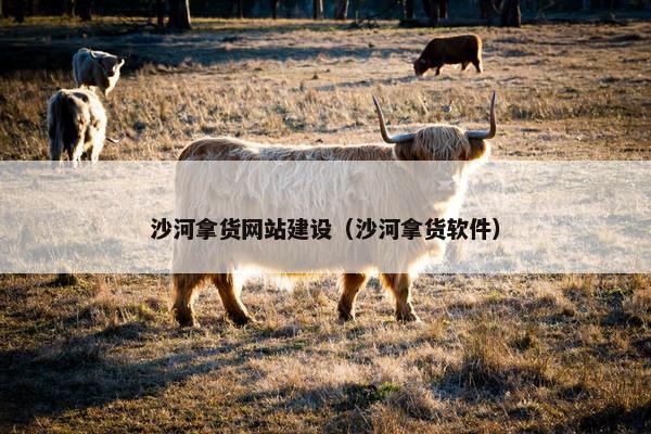沙河拿货网站建设（沙河拿货软件）