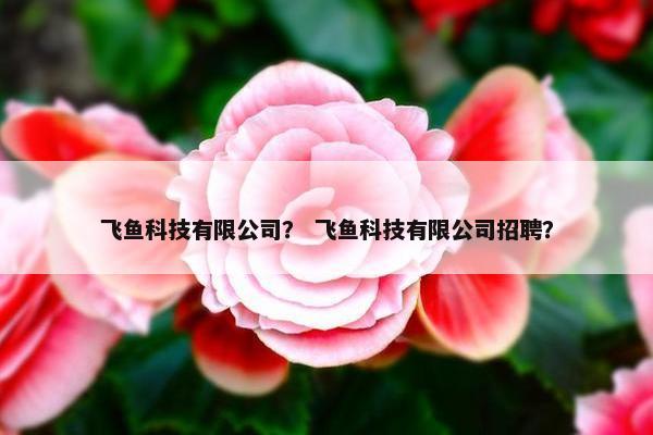 飞鱼科技有限公司？ 飞鱼科技有限公司招聘？