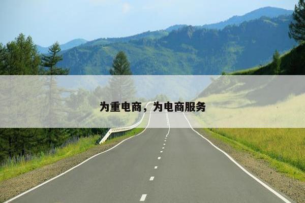 为重电商，为电商服务