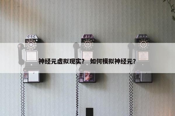 神经元虚拟现实？ 如何模拟神经元？