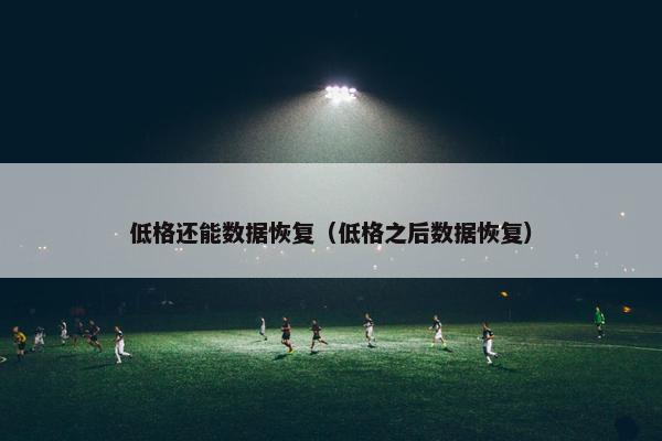 低格还能数据恢复（低格之后数据恢复）