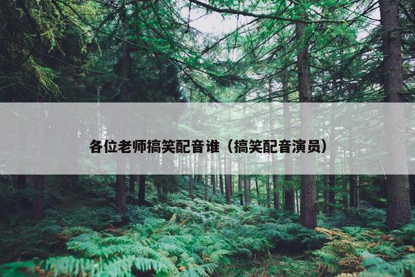 各位老师搞笑配音谁（搞笑配音演员）