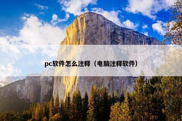 pc软件怎么注释（电脑注释软件）