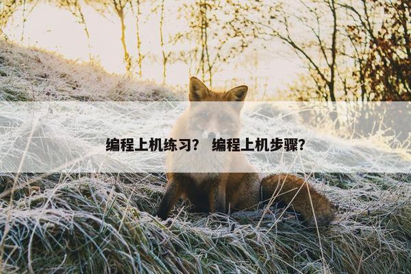 编程上机练习？ 编程上机步骤？