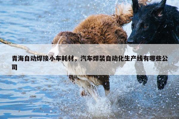 青海自动焊接小车耗材，汽车焊装自动化生产线有哪些公司
