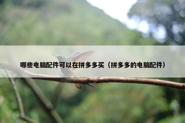 哪些电脑配件可以在拼多多买（拼多多的电脑配件）