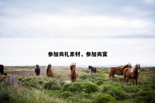 参加丧礼素材，参加丧宴