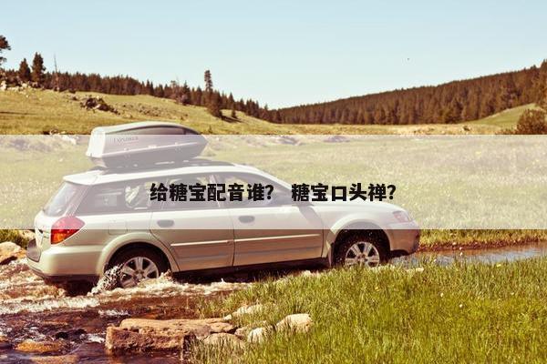 给糖宝配音谁？ 糖宝口头禅？