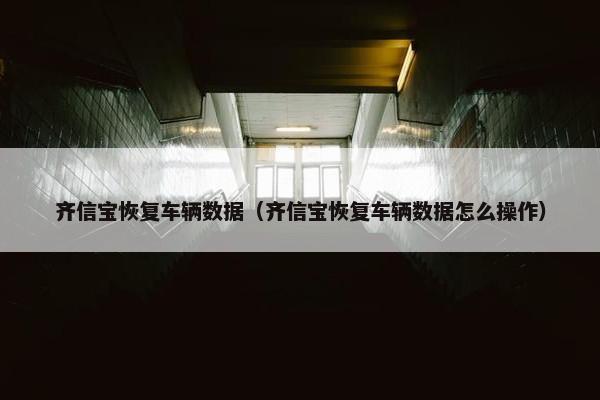 齐信宝恢复车辆数据（齐信宝恢复车辆数据怎么操作）