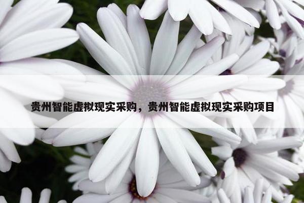 贵州智能虚拟现实采购，贵州智能虚拟现实采购项目