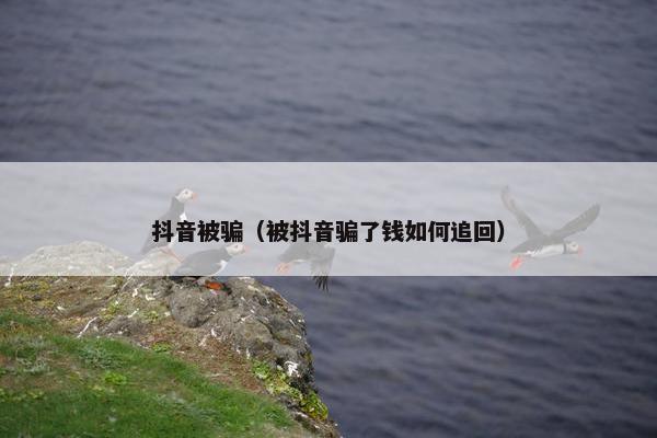 抖音被骗（被抖音骗了钱如何追回）