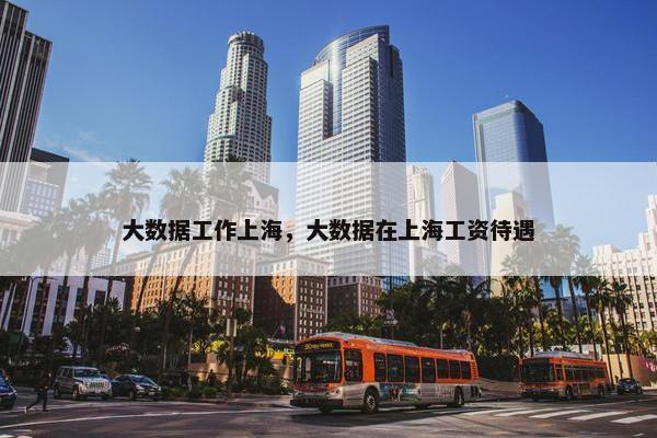 大数据工作上海，大数据在上海工资待遇