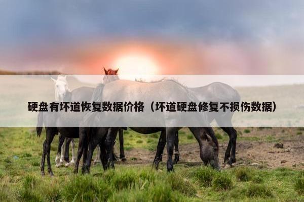 硬盘有坏道恢复数据价格（坏道硬盘修复不损伤数据）