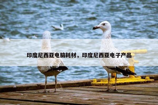 印度尼西亚电脑耗材，印度尼西亚电子产品