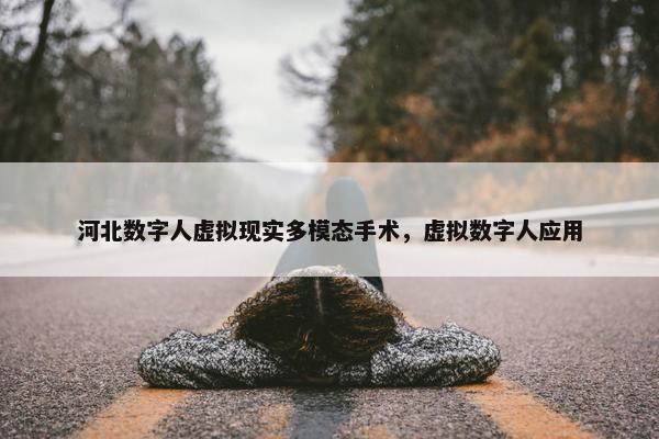 河北数字人虚拟现实多模态手术，虚拟数字人应用