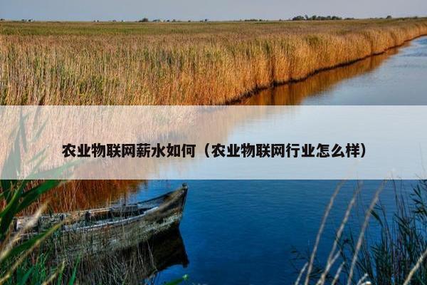 农业物联网薪水如何（农业物联网行业怎么样）
