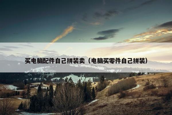 买电脑配件自己拼装卖（电脑买零件自己拼装）