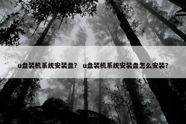 u盘装机系统安装盘？ u盘装机系统安装盘怎么安装？
