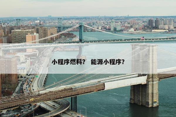 小程序燃料？ 能源小程序？