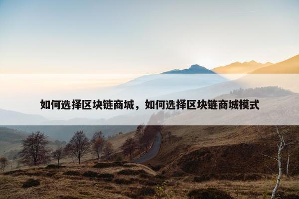 如何选择区块链商城，如何选择区块链商城模式