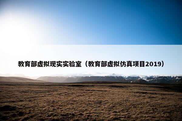教育部虚拟现实实验室（教育部虚拟仿真项目2019）