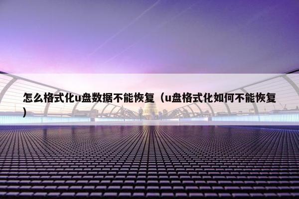 怎么格式化u盘数据不能恢复（u盘格式化如何不能恢复）